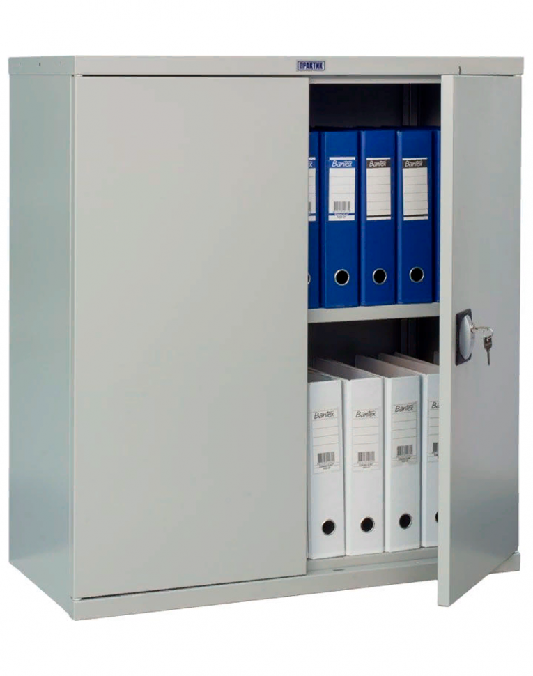 Шкаф Практик СВ-11 купить в Петрозаводске