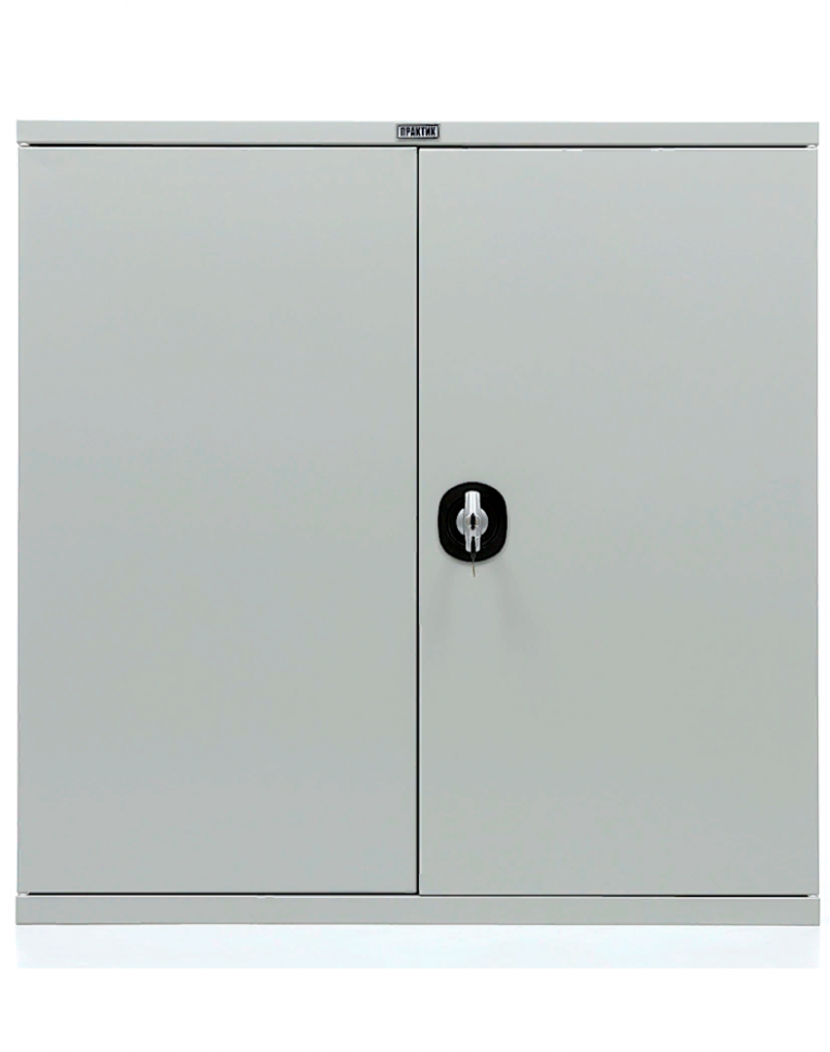Шкаф Практик СВ-21 купить в Петрозаводске