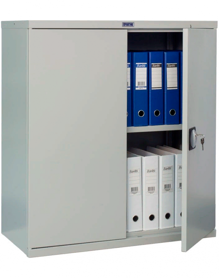 Шкаф Практик СВ-21 купить в Петрозаводске