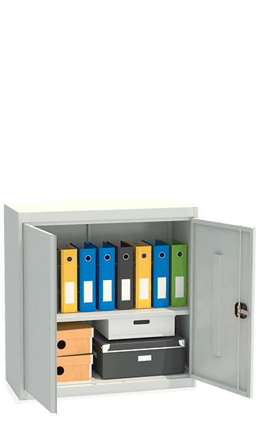 Шкаф архивный ШХА-N/2- 900(40) купить в Петрозаводске Шкаф архивный ШХА-N/2- 900(40) купить в Петрозаводске