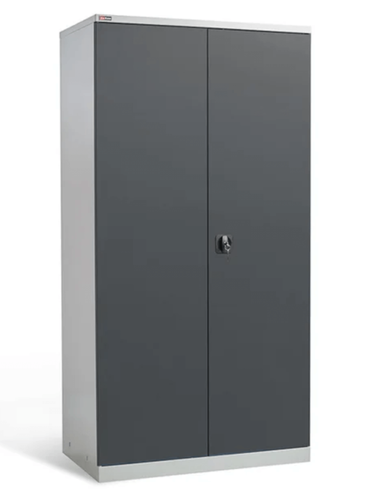 Шкаф инструментальный ДиКом ВЛ-052-03 купить в Петрозаводске