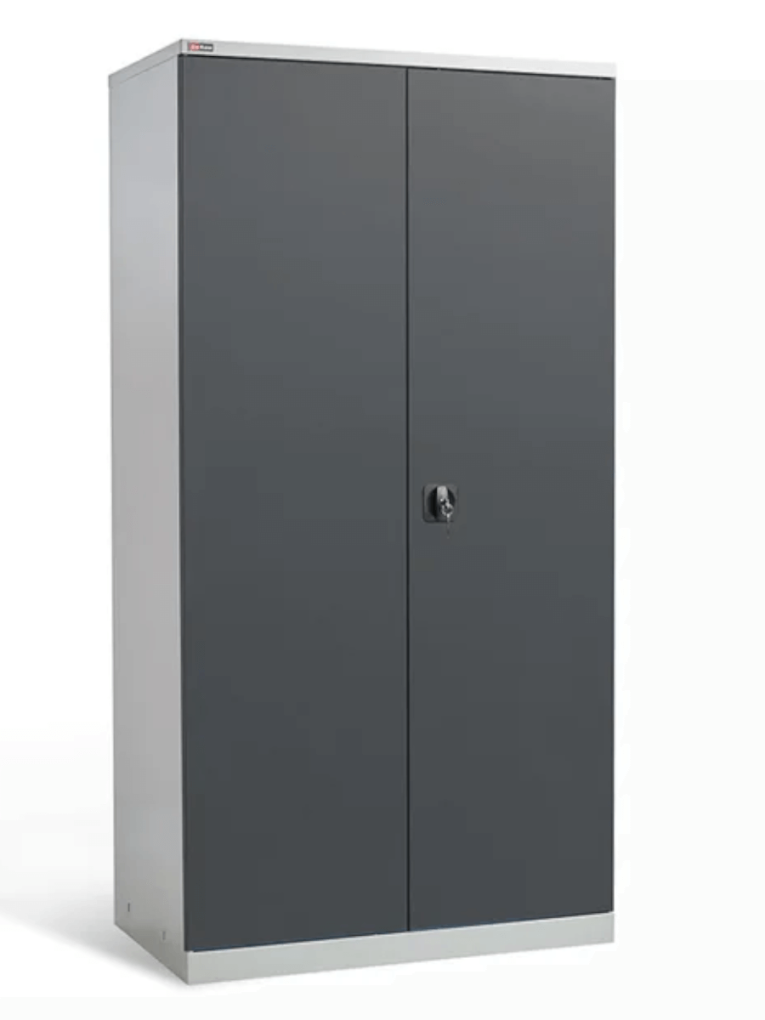 Шкаф инструментальный ДиКом ВЛ-052-05 купить в Петрозаводске