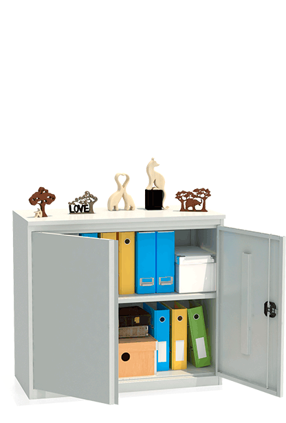 Шкаф архивный ALR 8810 купить в Петрозаводске