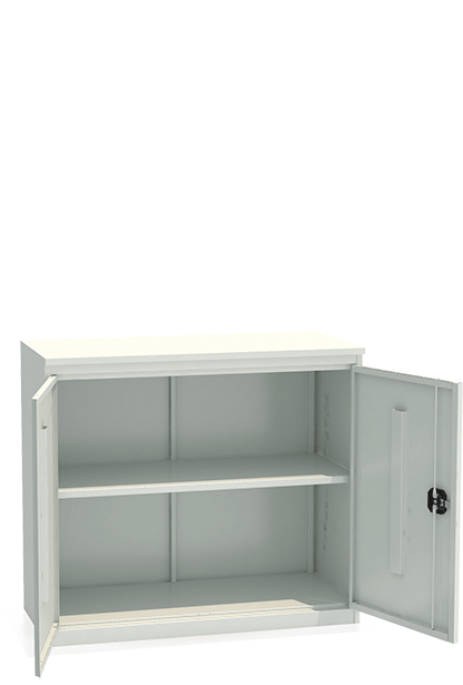 Шкаф архивный ALR 8810 купить в Петрозаводске