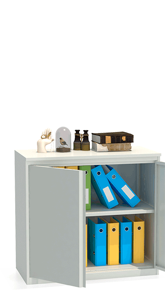 Шкаф архивный ALR 8896 купить в Петрозаводске