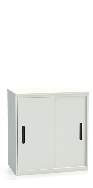 Шкаф-купе архивный ALS-8896 купить в Петрозаводске