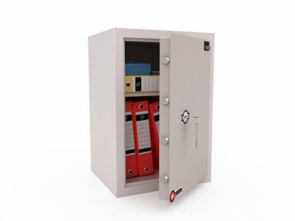 Лёгкий сейф  LS-010 R купить в Петрозаводске
