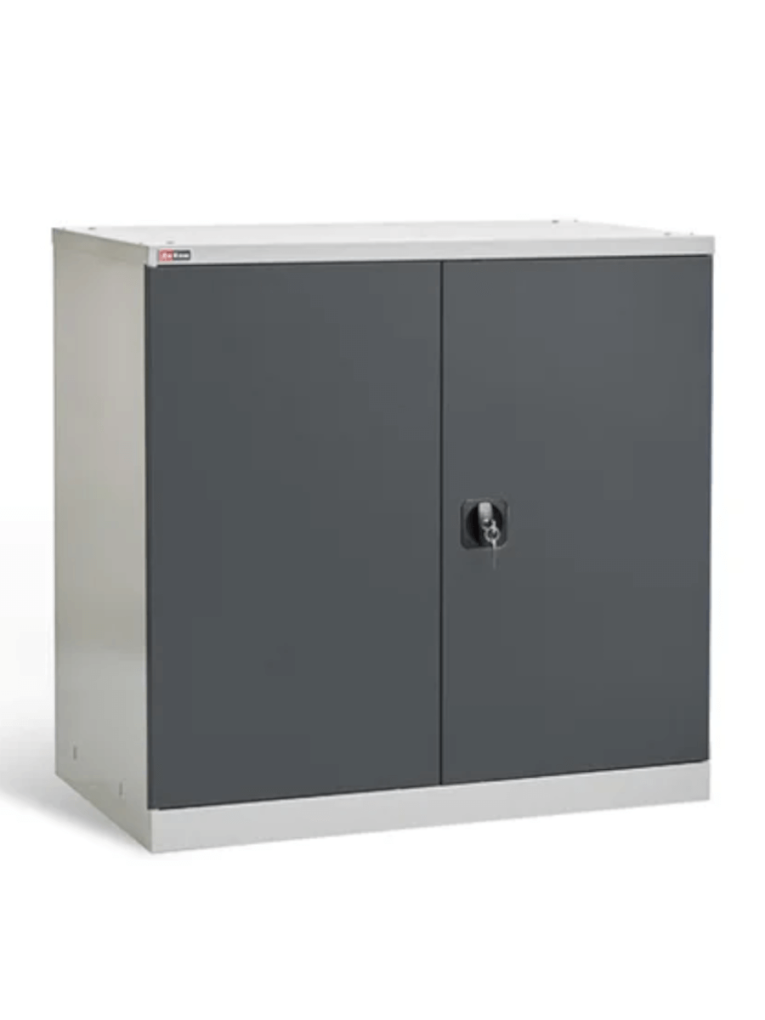 Шкаф инструментальный ДиКом ВЛ-051 (7038/7016) купить в Петрозаводске